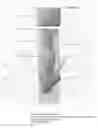 Fig. 04 - Smoking accessory container