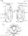 Fig. 04 - PULLOVER TOWEL