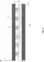 Fig. 09 - Multilayer fabric with selective radiation filter