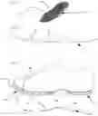 Fig. 20 - UNIBODY CONSTRUCTION FOOTWEAR AND METHOD FOR MAKING THE SAME