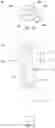 Fig. 19 - Cosmetic applicator with flexible fluid retaining portion