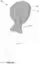 Fig. 23 - Cosmetic applicator with flexible fluid retaining portion