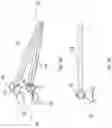 Fig. 05 - APPLICATOR FOR MAKEUP PRODUCT
