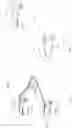 Fig. 09 - APPLICATOR FOR MAKEUP PRODUCT
