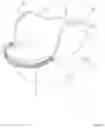 Fig. 08 - Carry handle for child carrier