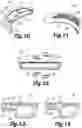 Fig. 06 - COOKING DEVICE FOR A MICROWAVE OVEN