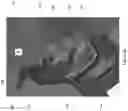 Fig. 11 - Dispenser with automatic stub roll drop down