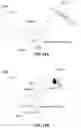 Fig. 22 - Systems and methods for liquid biopsy and drug delivery