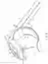 Fig. 06 - Blood pressure measurement device