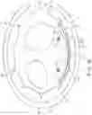 Fig. 19 - Blood pressure measurement device