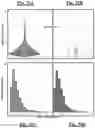 Fig. 33 - Device, system and use of a catheter system to record and map cardiac rhythm