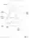 Fig. 02 - HYALINE CARTILAGE SHAPING