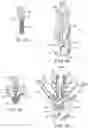 Fig. 06 - Methods and devices for tissue grasping and assessment