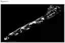 Fig. 10 - Orthopedic bioabsorbable implants