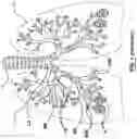 Fig. 02 - Methods, apparatuses, and systems for the treatment of pulmonary disorders