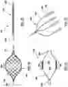 Fig. 30 - Methods, apparatuses, and systems for the treatment of pulmonary disorders