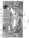 Fig. 03 - Method and system for improving 2D-3D registration convergence