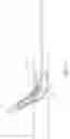 Fig. 43 - SUPPORT FOR TREATING VASCULAR BIFURCATIONS