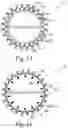 Fig. 12 - Device for endovascular aortic repair and method of using the same