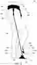 Fig. 02 - LEG SLING