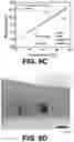 Fig. 12 - Smart thermal patch for adaptive thermotherapy