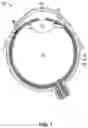 Fig. 02 - SUSTAINED RELEASE DELIVERY OF ACTIVE AGENTS TO TREAT GLAUCOMA AND OCULAR HYPERTENSION