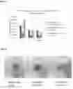 Fig. 04 - Hemostatic paste and methods of making thereof