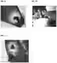 Fig. 06 - Hemostatic paste and methods of making thereof