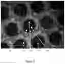 Fig. 09 - LAYERED APERTURED WOUND DRESSING, PROCESS OF MANUFACTURE AND USEFUL ARTICLES THEREOF