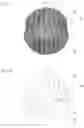 Fig. 07 - Cylindrical bandage