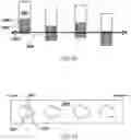 Fig. 24 - Mobility device securement system