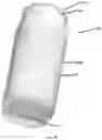 Fig. 06 - SYSTEMS AND METHODS FOR BREAST MILK COLLECTION, STORING, AND FEEDING