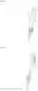 Fig. 02 - W/O emulsion for impregnating nonwoven fabric