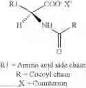 Fig. 05 - Composition of lipoamino acids and alkanediols, process for the preparation thereof, and cosmetic or pharmaceutical composition resulting therefrom