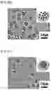 Fig. 08 - SELF-ASSEMBLY TYPE JANUS MICROPARTICLE AND PREPARATION METHOD THEREFOR