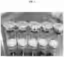 Fig. 08 - Lyophilized formulation of stem cell-derived exosomes and anti-inflammatory composition including the same as active ingredient