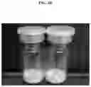 Fig. 12 - Lyophilized formulation of stem cell-derived exosomes and anti-inflammatory composition including the same as active ingredient