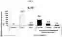Fig. 20 - Lyophilized formulation of stem cell-derived exosomes and anti-inflammatory composition including the same as active ingredient