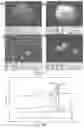 Fig. 15 - Solid composition