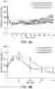 Fig. 06 - USE OF CXCL12 TO PROMOTE SURVIVAL, FUNCTION, AND IMMUNOISOLATION OF STEM CELL-DERIVED BETA CELLS