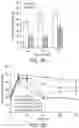 Fig. 07 - USE OF CXCL12 TO PROMOTE SURVIVAL, FUNCTION, AND IMMUNOISOLATION OF STEM CELL-DERIVED BETA CELLS