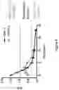 Fig. 09 - GROWTH-FACTOR NANOCAPSULES WITH TUNABLE RELEASE CAPABILITY FOR BONE REGENERATION