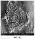 Fig. 11 - Antibiofilm formulations