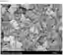 Fig. 02 - Constructs comprising fatty acids
