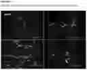 Fig. 03 - Compounds useful for increasing neurogenesis in neural tissue