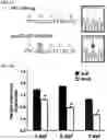 Fig. 02 - Compounds and methods for treating an epileptic disorder