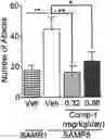 Fig. 01 - METHODS OF TREATING BEHAVIOR ALTERATIONS