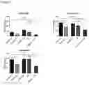 Fig. 06 - Method of Treating Focal Segmental Glomerulosclerosis