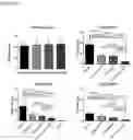 Fig. 08 - Method of Treating Focal Segmental Glomerulosclerosis