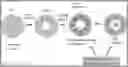 Fig. 01 - Compositions and methods of using nintedanib for treating ocular diseases with abnormal neovascularization